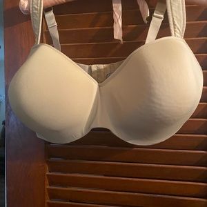Le Mystic Renaissance Bra
